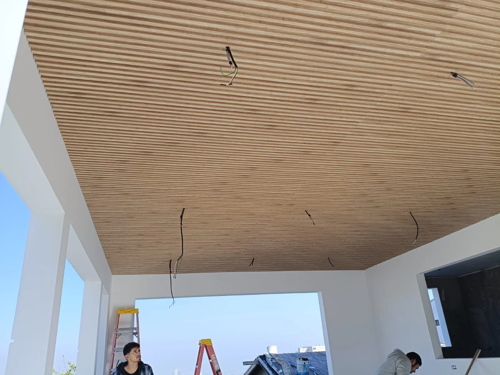 Instituto Peninsular — detalle de proyecto