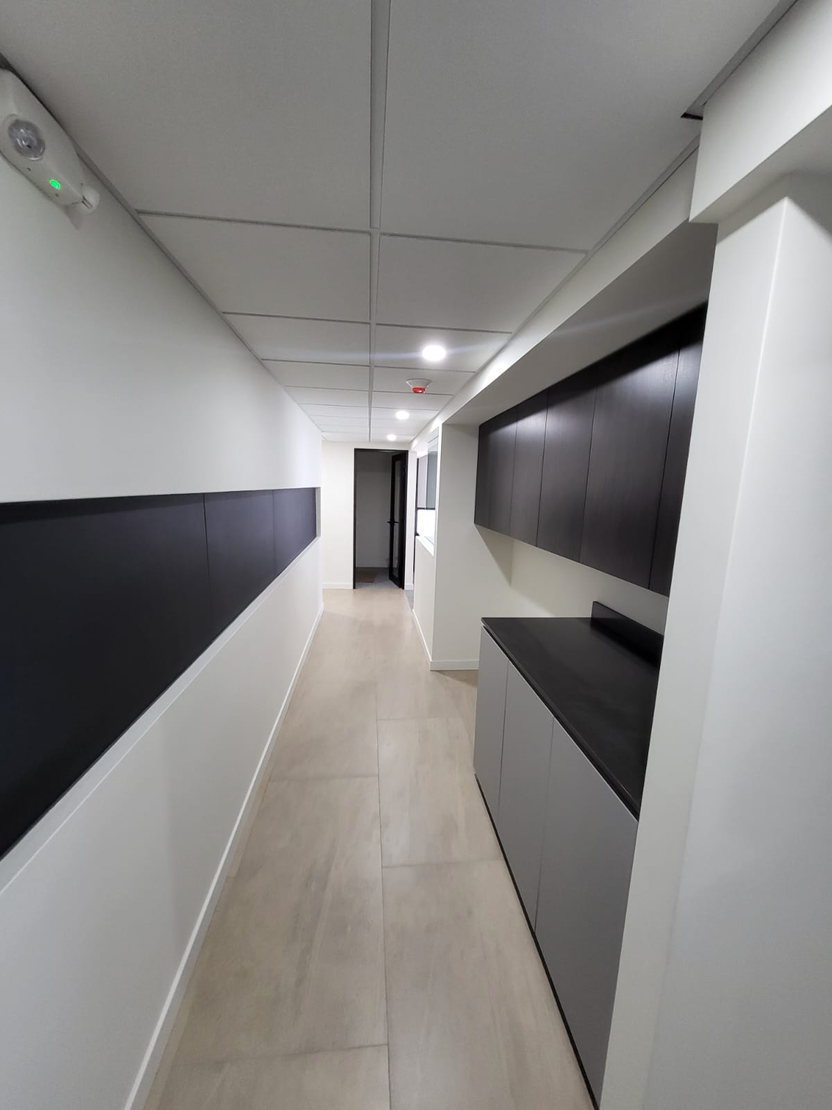 Pintura y Acabado Final